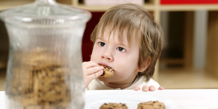 Riscos dos Alimentos Ultraprocessados no Cardápio Infantil