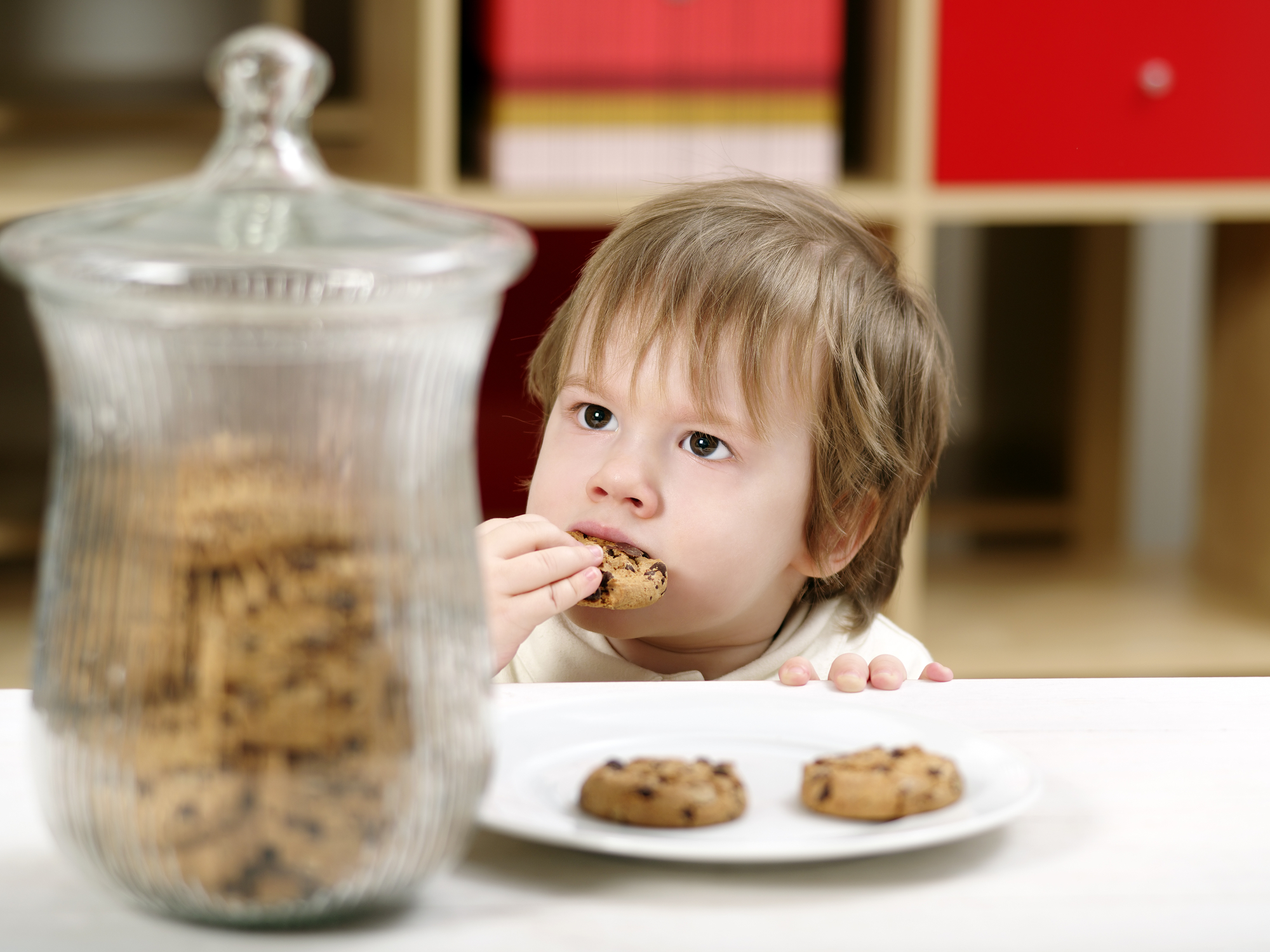 Riscos dos Alimentos Ultraprocessados no Cardápio Infantil